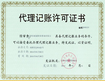注册会计师执业标准